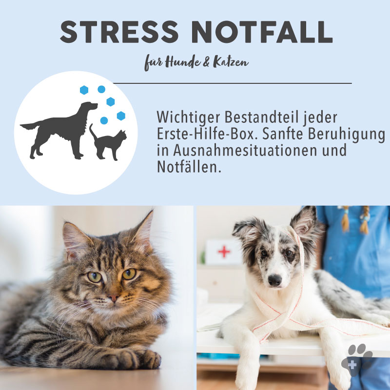 paws-patch-stress-notfall-bachbl-ten-f-r-hunde-und-katzen image 3