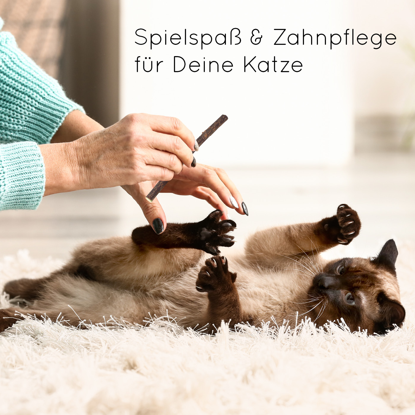 karaluna-matatabi-sticks-katzenspielzeug-8-st-ck-zahnpflege image 2