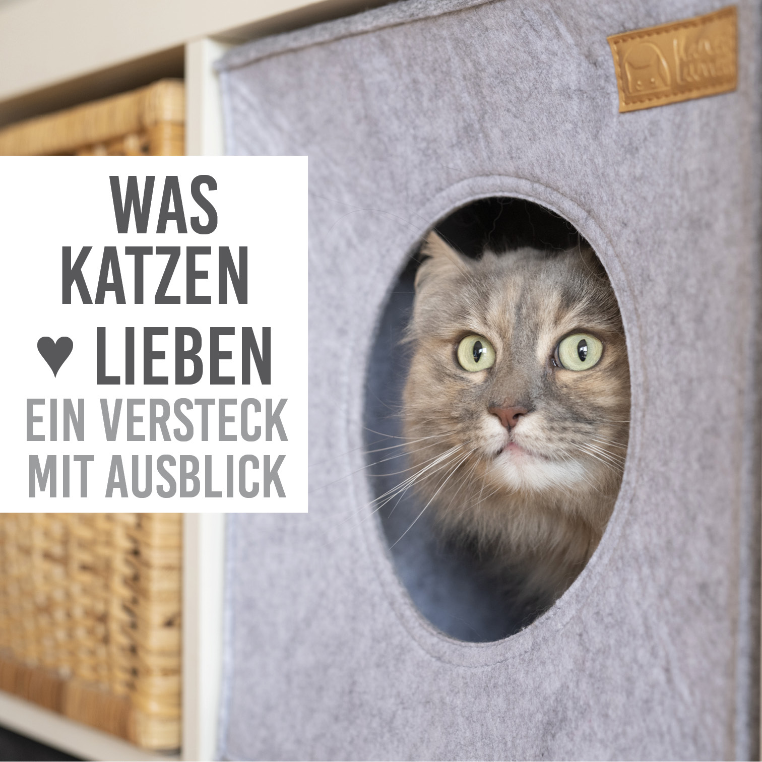 karaluna-katzenh-hle-filz-regal-33x33x37-schlafh-hle-mit-kissen image 2