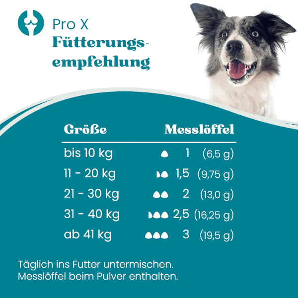 european-pet-pharmacy-gelenke-pro-x-proteinpulver-insektenprotein image 2