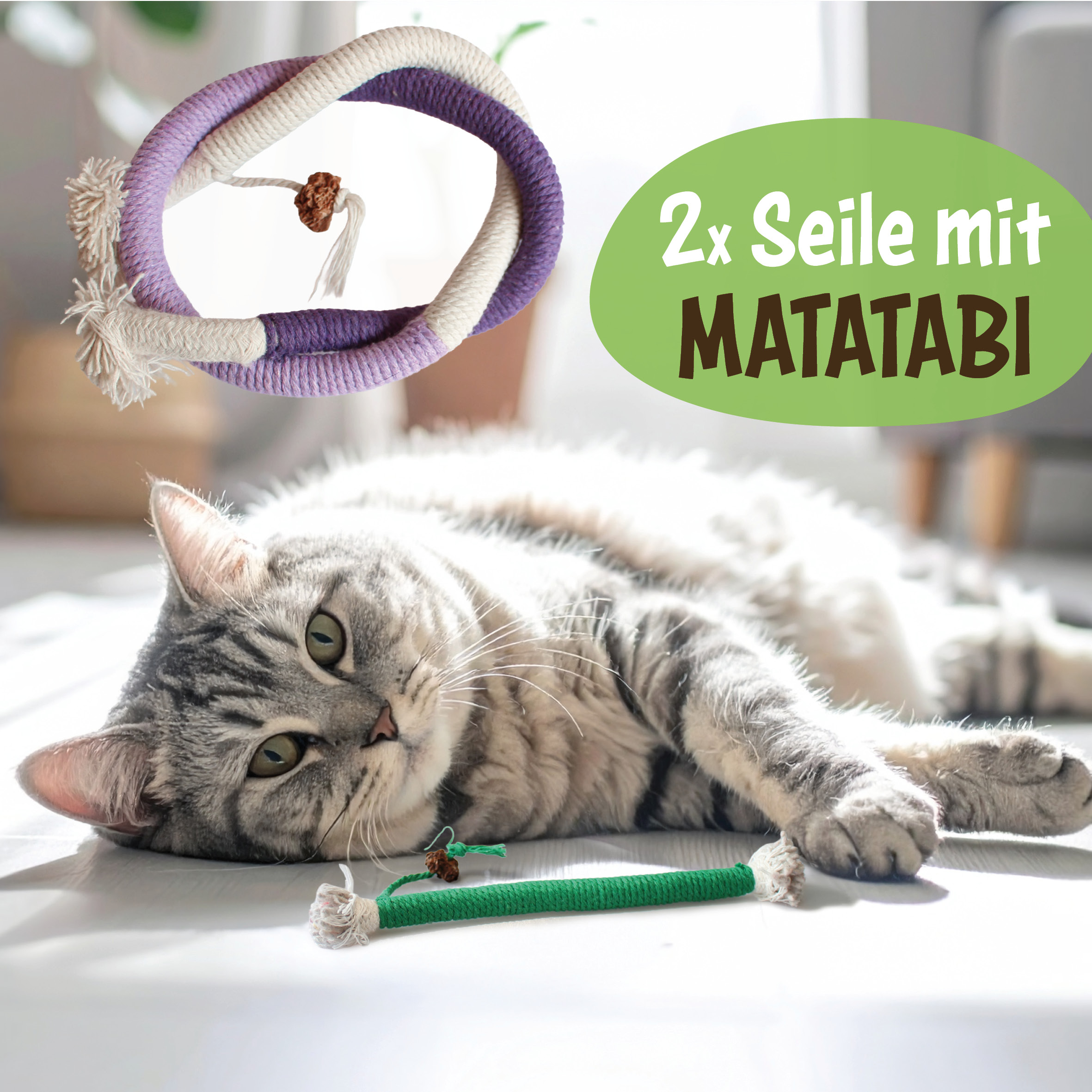 karaluna-katzenspielzeug-set-6-teile-mit-katzenminze image 3