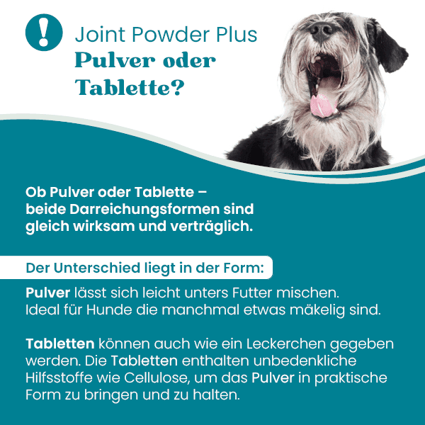 european-pet-pharmacy-gelenke-joint-powder-plus-gelenkpulver-mit-gr-nlippmuschel image 4
