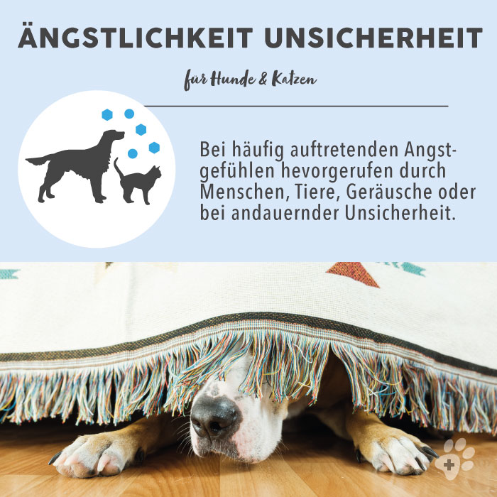 paws-patch-ngstlichkeit-unsicherheit-bachbl-tenmischung-hund-katze image 4