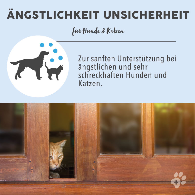 paws-patch-ngstlichkeit-unsicherheit-bachbl-tenmischung-hund-katze image 5