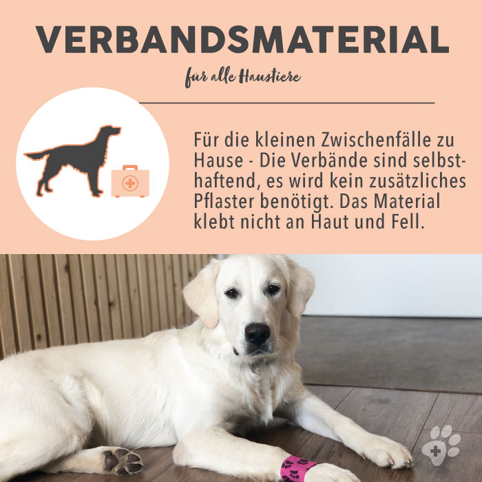 paws-patch-selbsthaftende-verb-nde-f-r-hunde-6-st-ck-bunt image 5