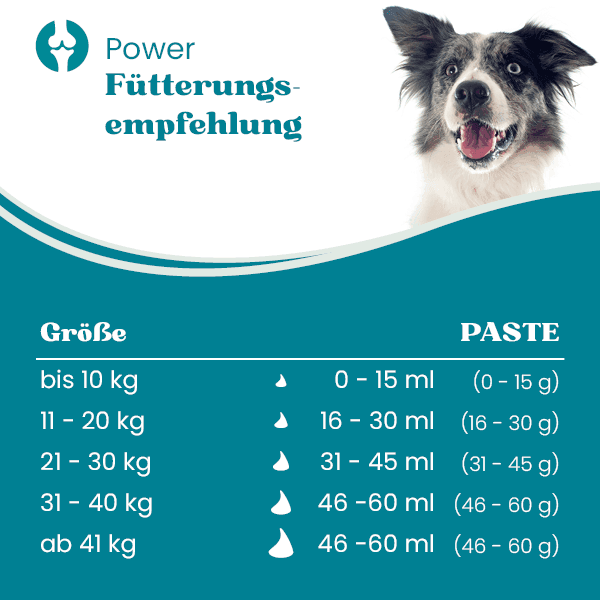 european-pet-pharmacy-muskeln-power-energiepaste-insekten image 2