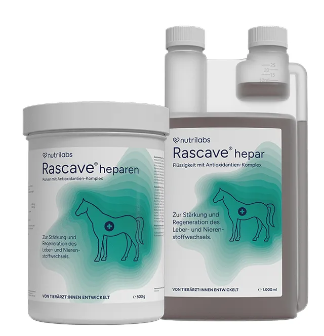 nutrilabs-rascave-heparen-erg-nzungsfuttermittel-hund-leber-niere image 1