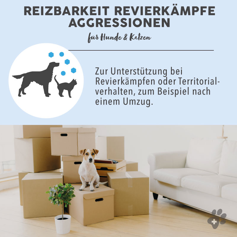 paws-patch-bl-tenmischung-reizbarkeit-bachbl-ten-hund-katze image 3