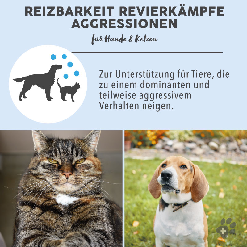 paws-patch-bl-tenmischung-reizbarkeit-bachbl-ten-hund-katze image 5