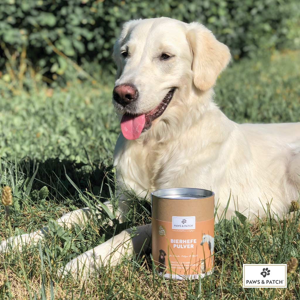 paws-patch-pure-line-bierhefe-pulver-hund-katze-pferd-biotin image 2