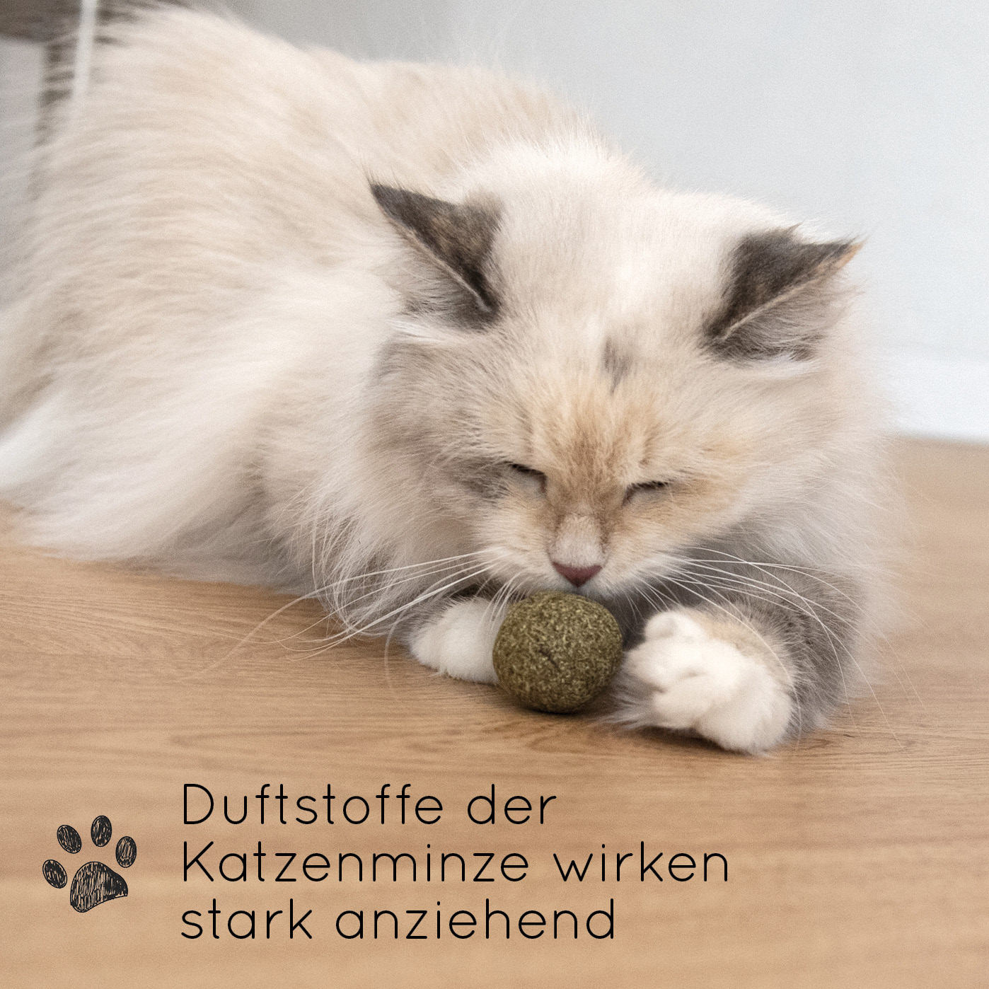 karaluna-katzenminze-b-lle-3-st-ck-catnip-spielzeug image 2