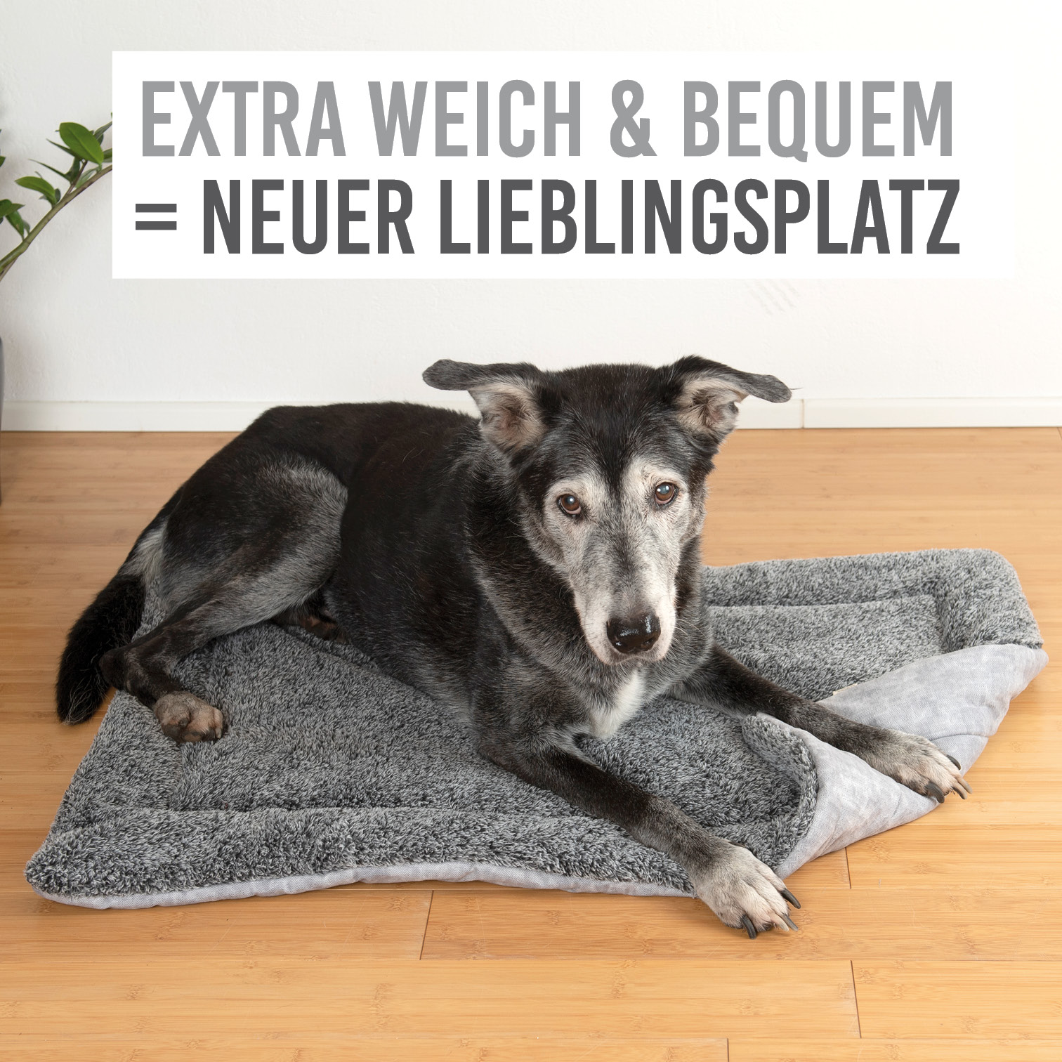 karaluna-hundematte-hundedecke-waschbar-55x70-pl-sch image 2
