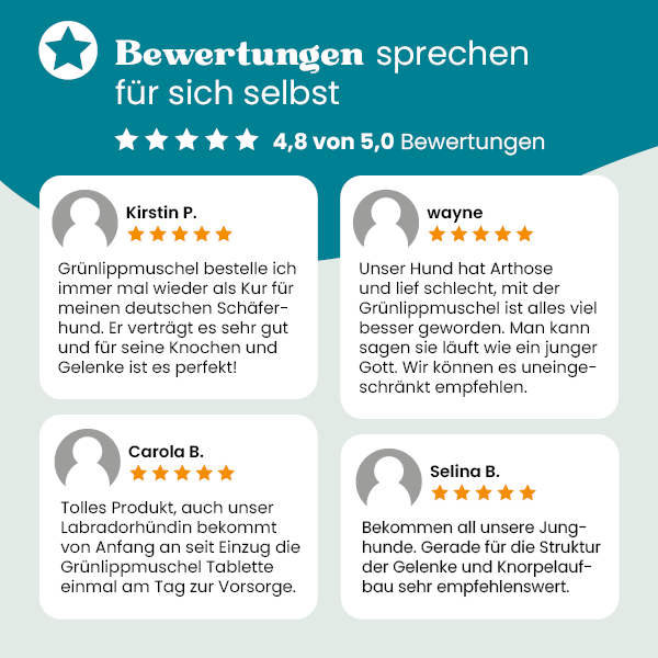 european-pet-pharmacy-gelenke-gr-nlippmuschel-gelenkpulver-hund image 3