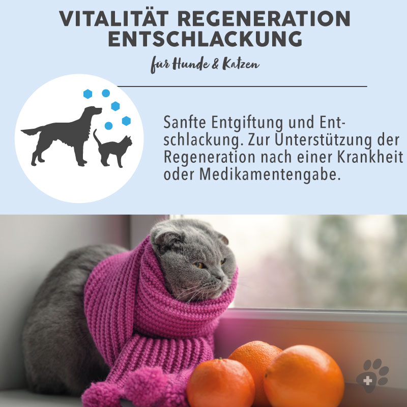 paws-patch-bl-tenmischung-vitalit-t-bachbl-ten-hund-katze image 4