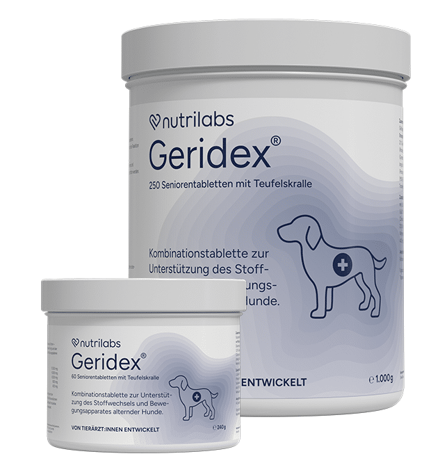 nutrilabs-geridex-erg-nzungsfutter-senior-hunde-alter image 1
