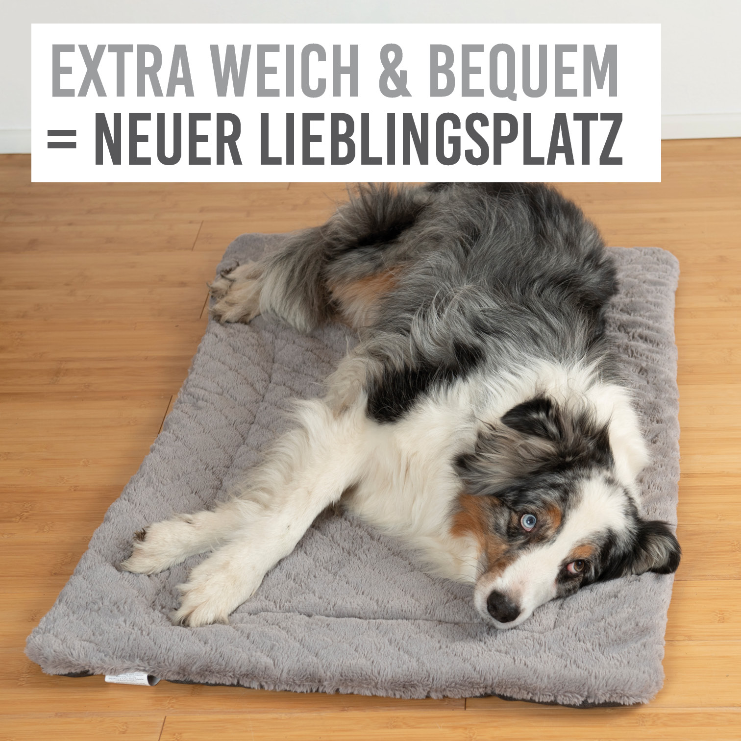 karaluna-hundematte-hundedecke-waschbar-55x70-pl-sch image 3