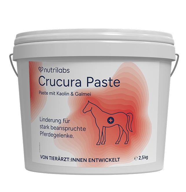 nutrilabs-crucura-paste-erg-nzungsfuttermittel-pferd-gelenke image 1