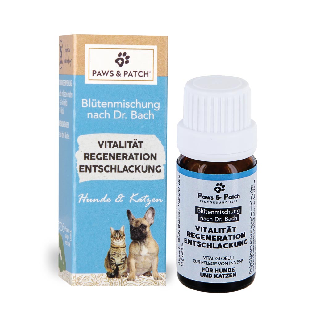 paws-patch-bl-tenmischung-vitalit-t-bachbl-ten-hund-katze image 1