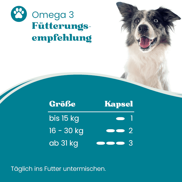 european-pet-pharmacy-omega-3-fisch-l-f-r-haut-und-fell-beim-hund image 2