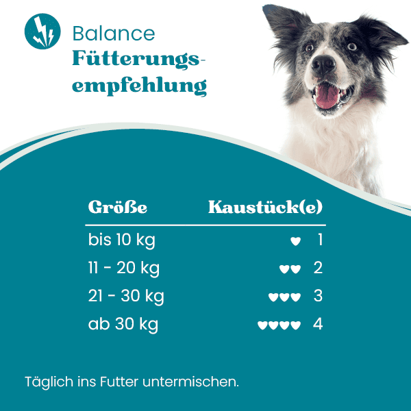 european-pet-pharmacy-stress-balance-beruhigungspulver-kr-uter image 2