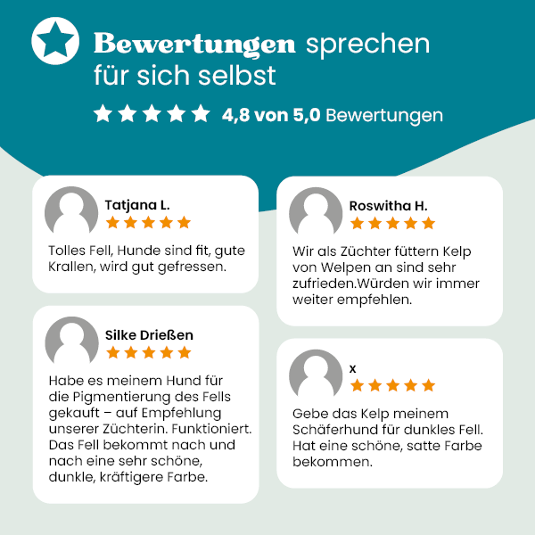 european-pet-pharmacy-fell-pfoten-kelp-algenpulver-f-r-hunde image 3