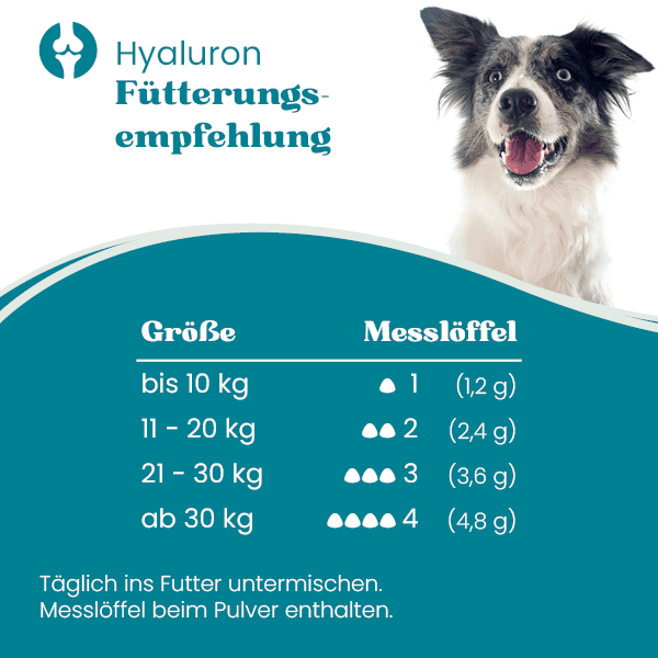 european-pet-pharmacy-gelenke-hyalurons-ure-pulver-msm image 2