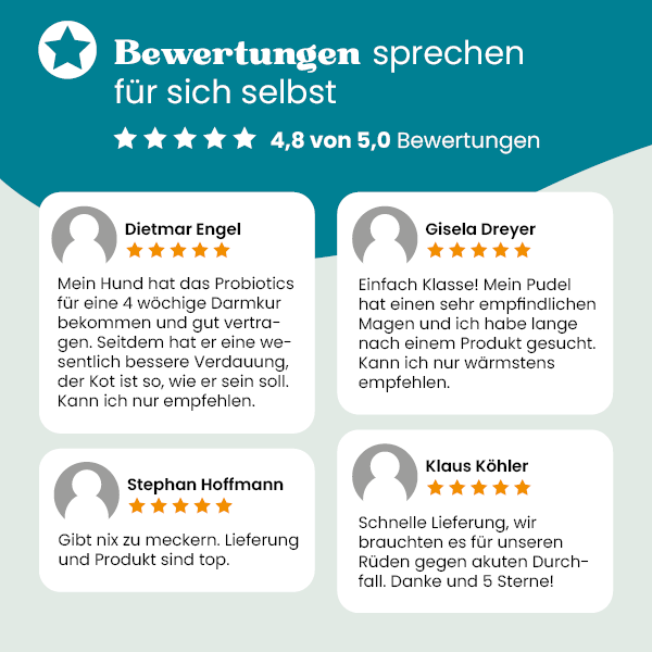 european-pet-pharmacy-magen-darm-probiotics-erg-nzungsfuttermittel-hund image 3