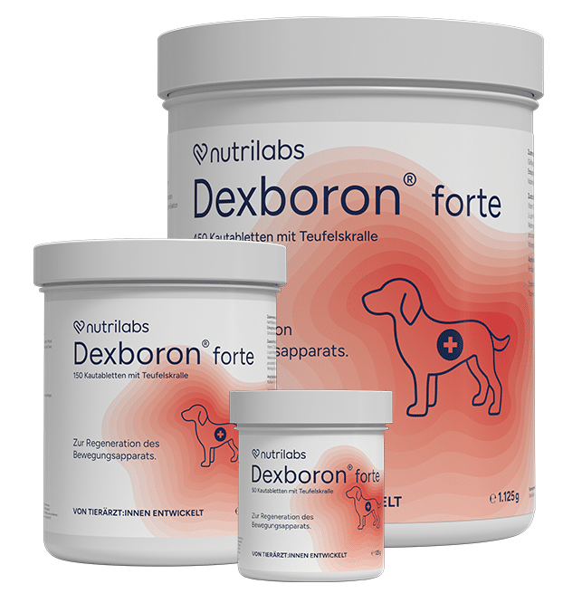 nutrilabs-dexboron-forte-bewegung-pferd-regeneration image 1