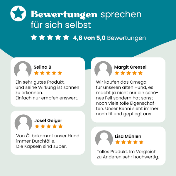 european-pet-pharmacy-omega-3-fisch-l-f-r-haut-und-fell-beim-hund image 3