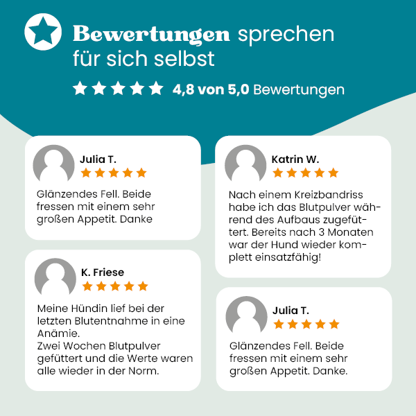 european-pet-pharmacy-muskeln-blutpulver-muskelaufbau-eisen image 3