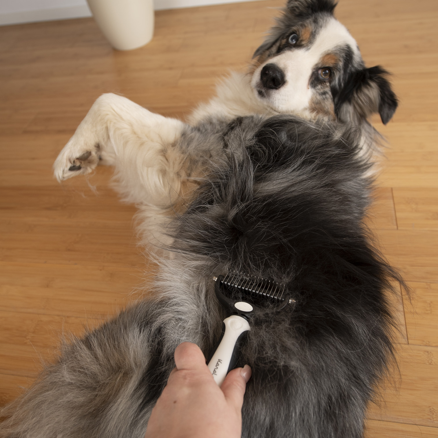 karaluna-unterfellb-rste-hunde-katzen-entfilzungskamm-unterwolle image 5