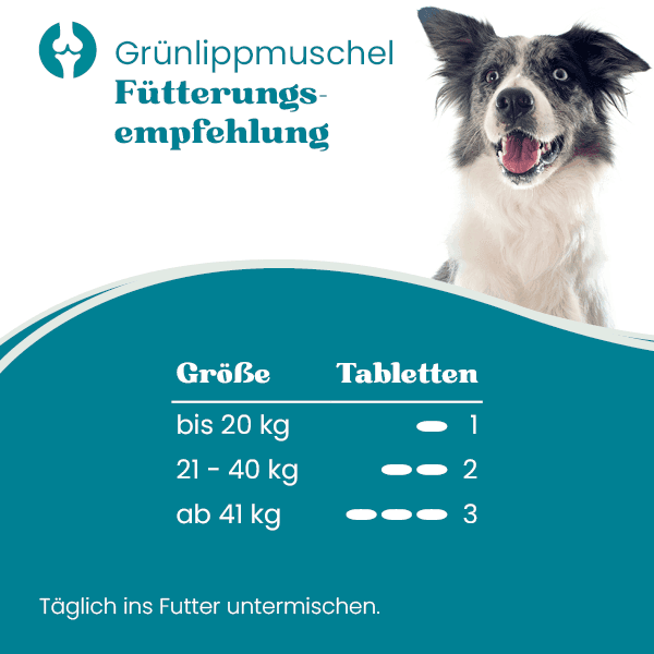 european-pet-pharmacy-gelenke-gr-nlippmuschel-gelenkpulver-hund image 2