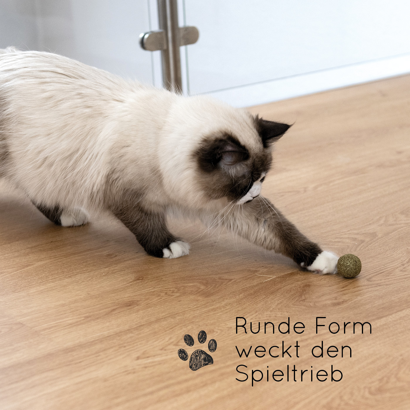 karaluna-katzenminze-b-lle-3-st-ck-catnip-spielzeug image 4