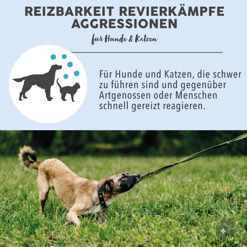 paws-patch-bl-tenmischung-reizbarkeit-bachbl-ten-hund-katze image 4