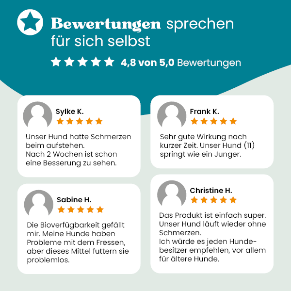 european-pet-pharmacy-gelenke-joint-powder-plus-gelenkpulver-mit-gr-nlippmuschel image 3