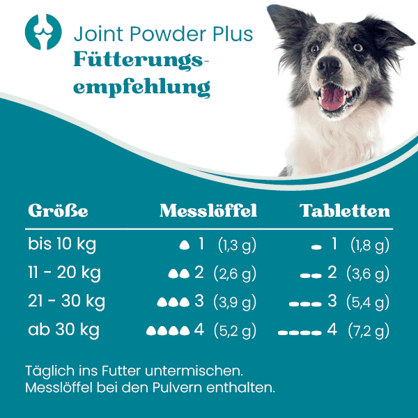 european-pet-pharmacy-gelenke-joint-powder-plus-gelenkpulver-mit-gr-nlippmuschel image 2