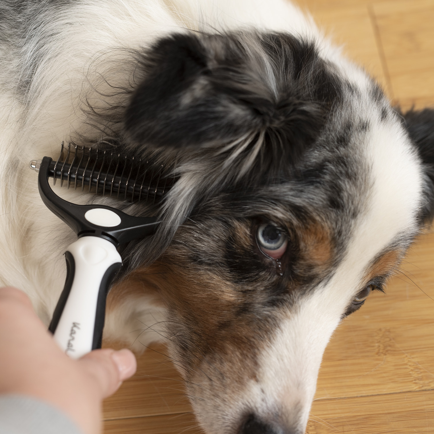 karaluna-unterfellb-rste-hunde-katzen-entfilzungskamm-unterwolle image 6