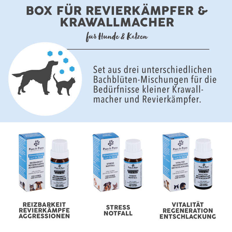 paws-patch-bl-tenmischung-3er-basis-box-revierk-mpfer-hund-katze image 2