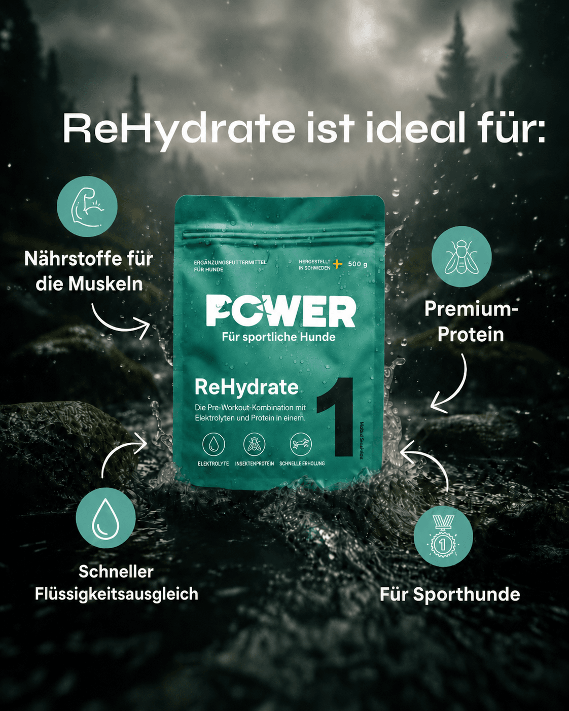 european-pet-pharmacy-rehydrate-elektrolytpulver-hund-insektenprotein image 2