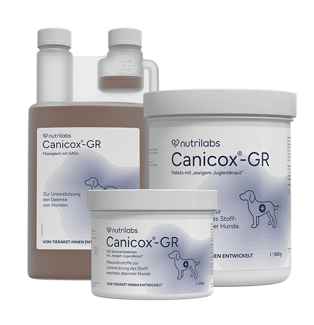 nutrilabs-canicox-gr-erg-nzungsfutter-senior-hunde-gelenke image 1