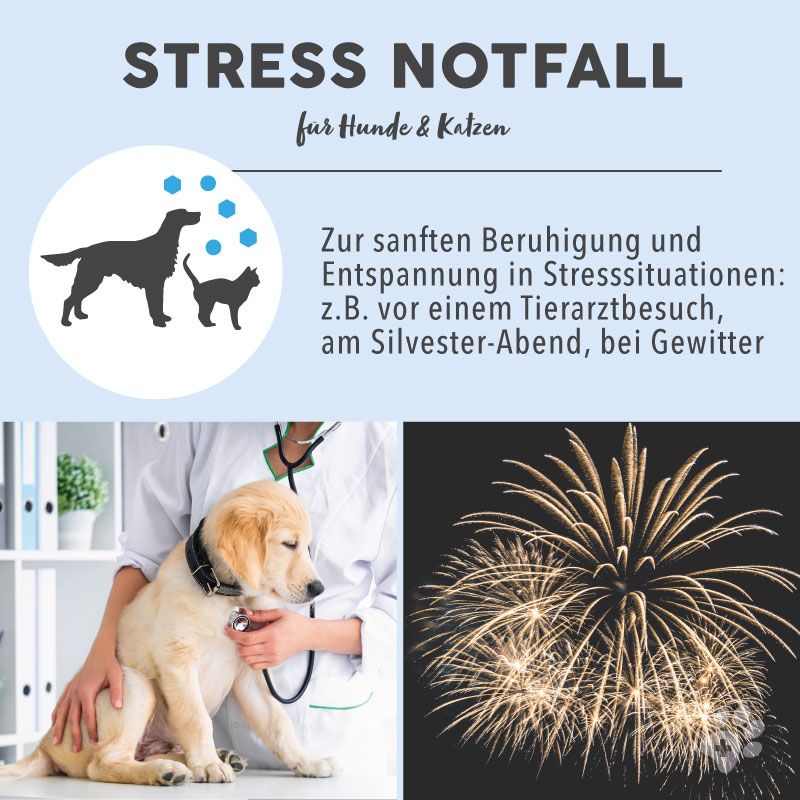 paws-patch-stress-notfall-bachbl-ten-f-r-hunde-und-katzen image 5