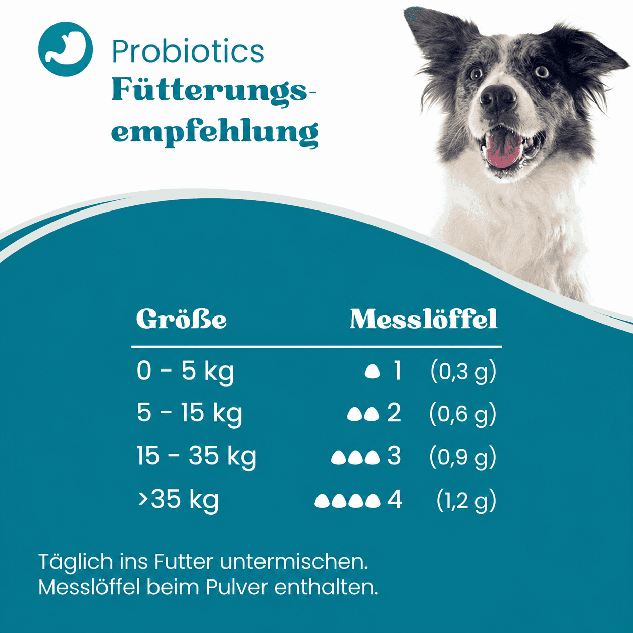 european-pet-pharmacy-magen-darm-probiotics-erg-nzungsfuttermittel-hund image 2