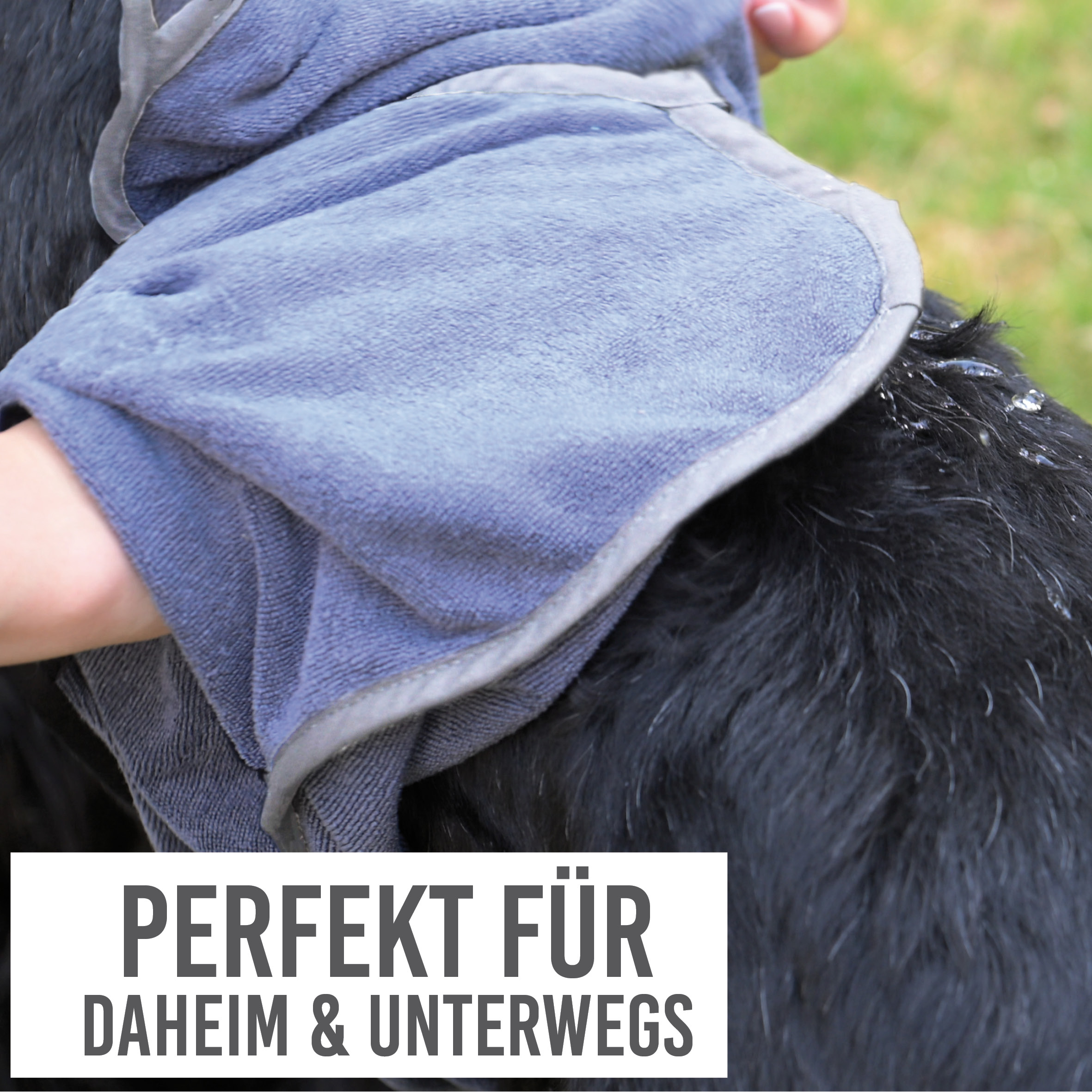 karaluna-hundehandtuch-set-mikrofaser-handtuch-60x90-saugstark image 5
