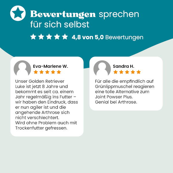european-pet-pharmacy-gelenke-hyalurons-ure-pulver-msm image 3