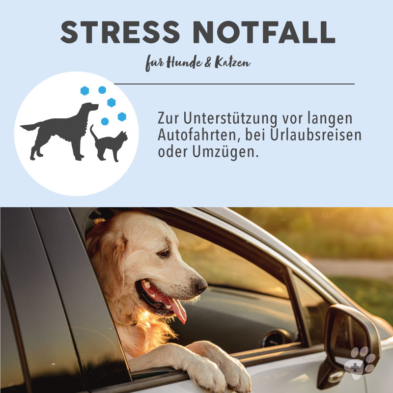 paws-patch-stress-notfall-bachbl-ten-f-r-hunde-und-katzen image 4