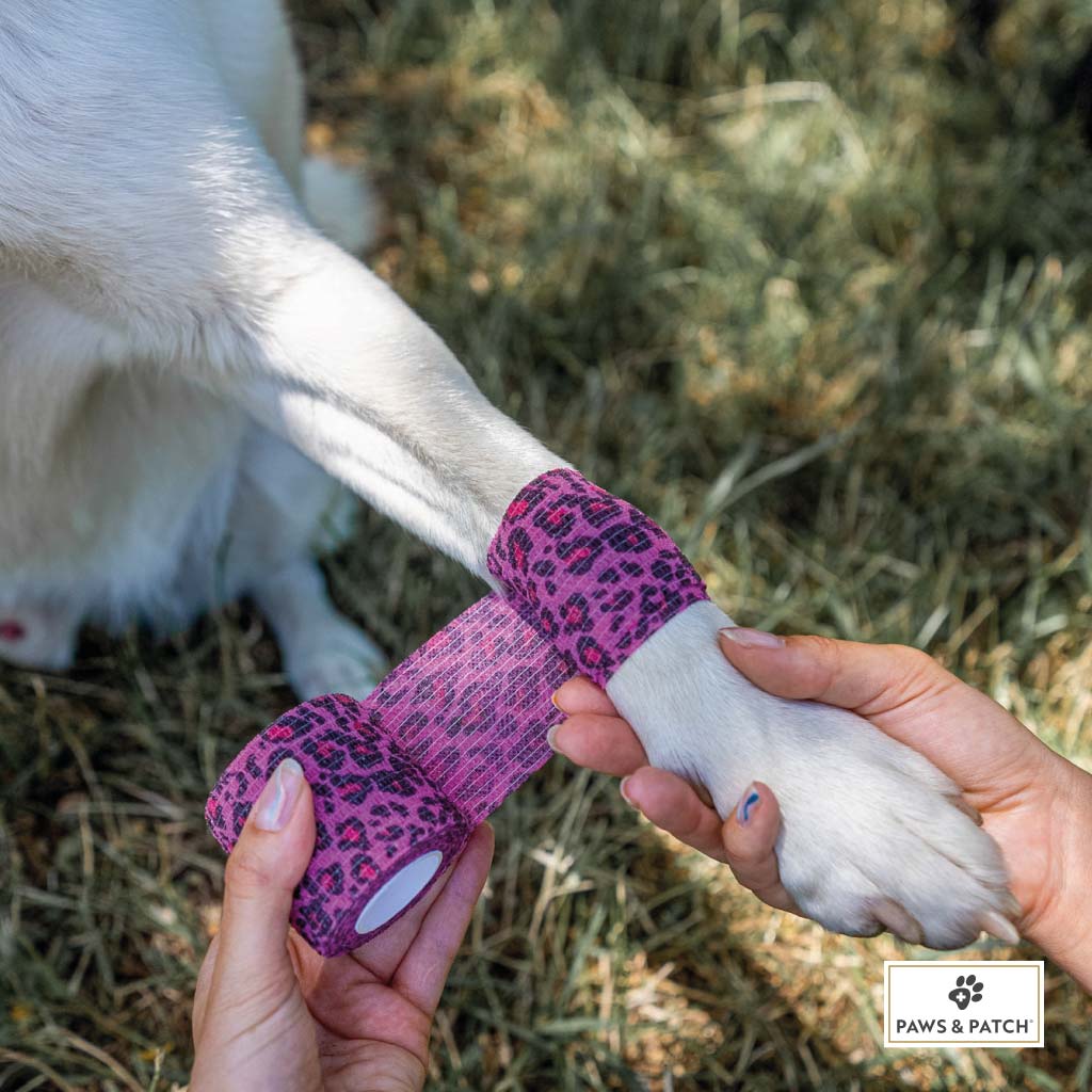 paws-patch-selbsthaftende-verb-nde-bandage-1-st-ck-hund image 3