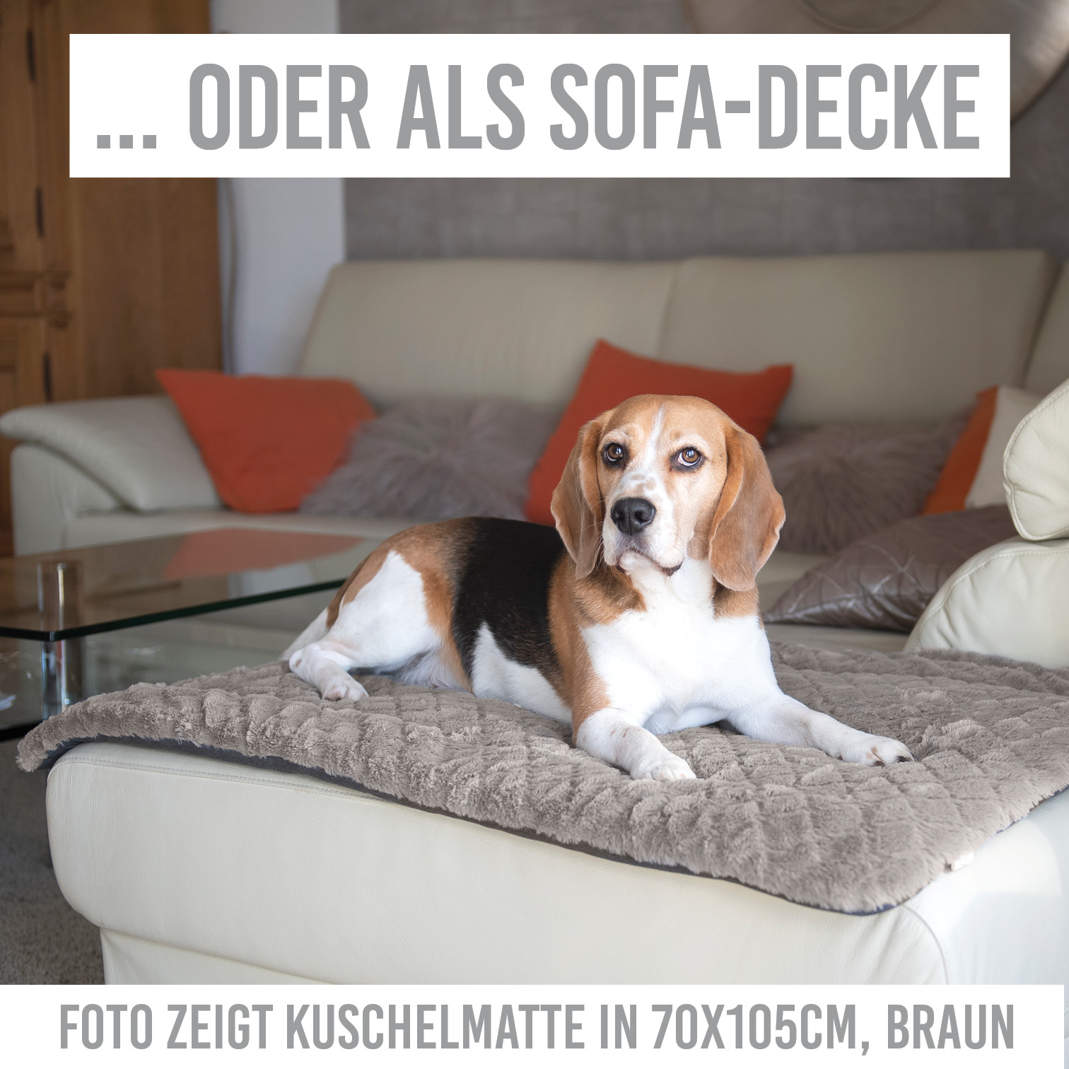 karaluna-hundematte-hundedecke-waschbar-55x70-pl-sch image 7