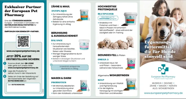partnerflyer-mit-code-freifeld-100-st-ck-flyer image 1