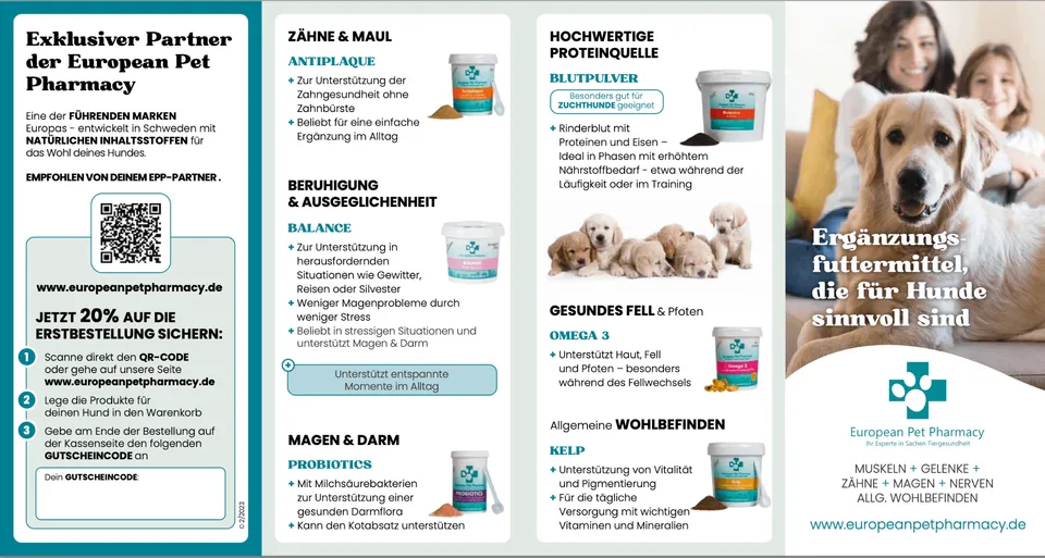 partnerflyer-mit-code-freifeld-100-st-ck-flyer image 1