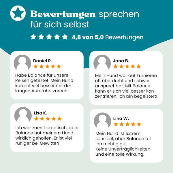 european-pet-pharmacy-stress-balance-beruhigungspulver-kr-uter image 3